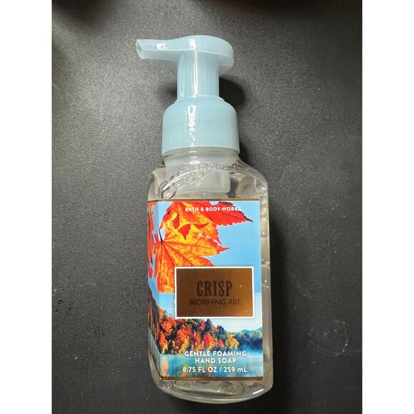 NWT Bath & Body Works Foaming Hand Soap 8.75 fl oz Crisp Morning Air - Picture 1 of 2